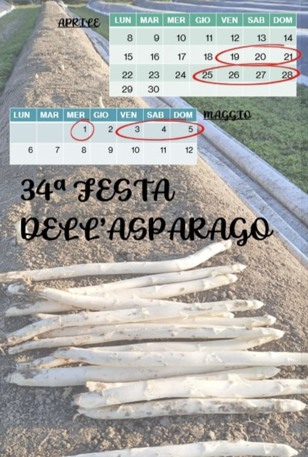 PT1BTg==/PT1nTTJJRE4=_Schermata20240320alle140136.png